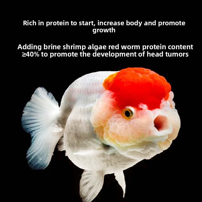 Fish Baby Sinking Goldfish Foo - đánh giá và giá Baby Food High In Protein