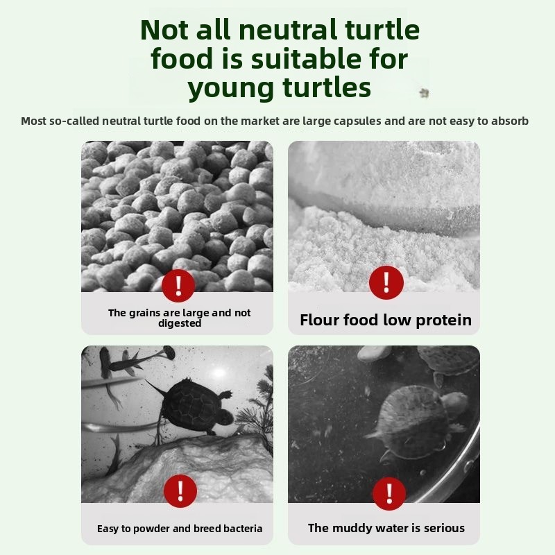 Nai chong Hatchling Turtle Foo - đánh giá và giá Baby Food High In Protein