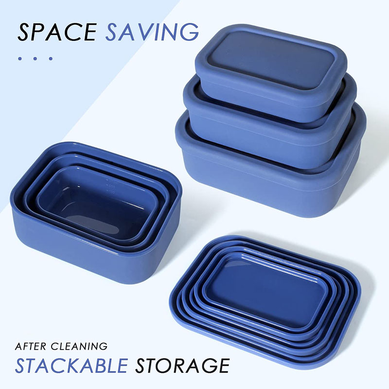 Leak-Resistant Bento Lunch Box - đánh giá và giá Food Box Baby