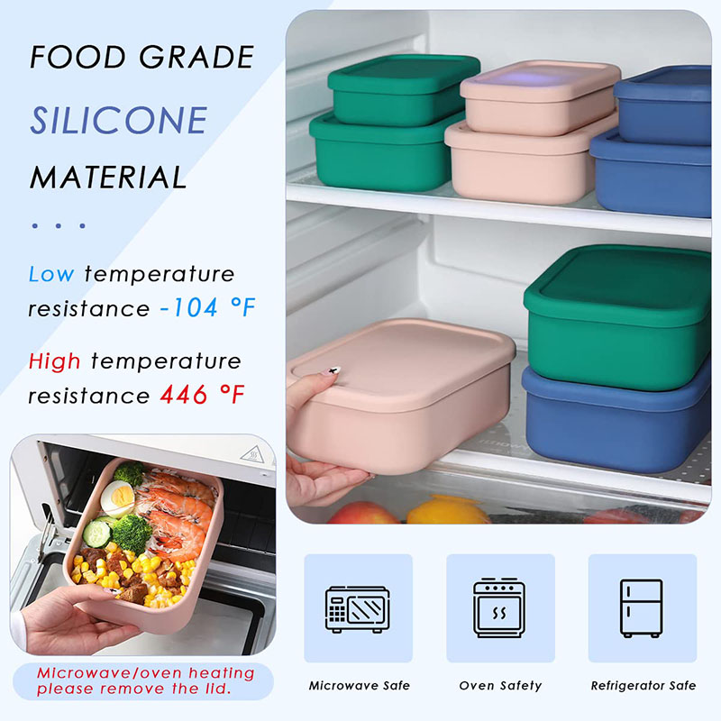 Leak-Resistant Bento Lunch Box - đánh giá và giá Food Box Baby
